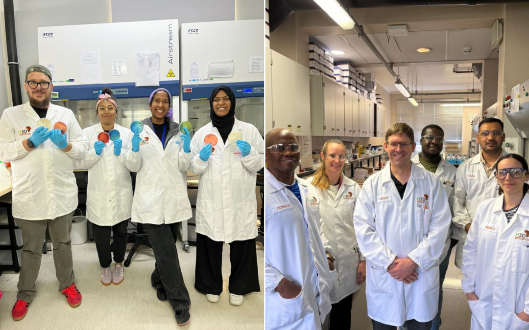 Meet the researchers tackling AMR and driving innovation from Africa to the World